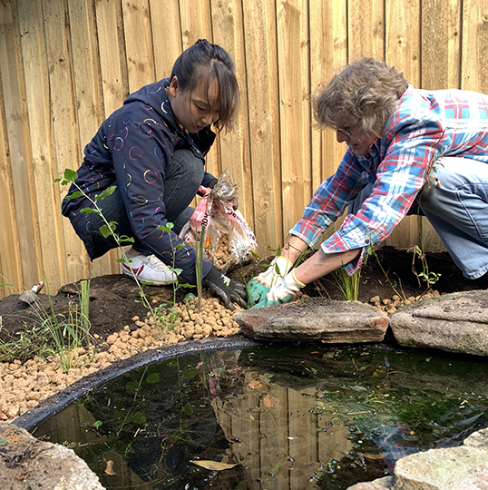 Two women helping each other while planting a Water Sensitive Design feature in build workshop 